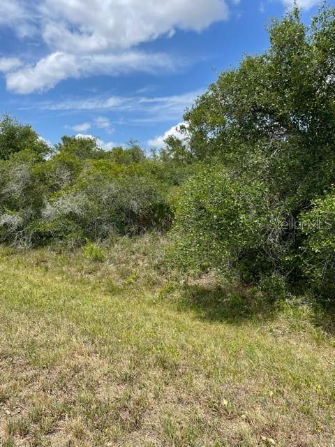 A grassy field leads to a dense thicket of trees and shrubs under a blue sky — 33514, 33522,33528 WASHINGTON LOOP ROAD, PUNTA GORDA, FL