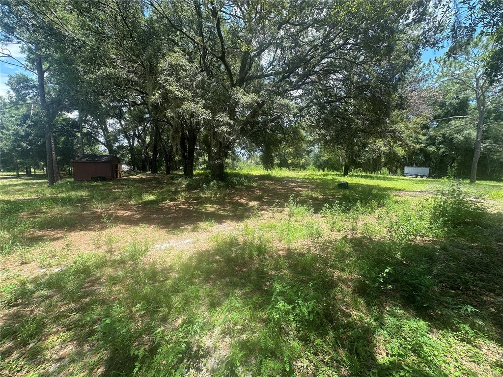 A grassy, wooded lot features a small shed and a trailer in the background — LAZY ACRES LANE, LONGWOOD, FL