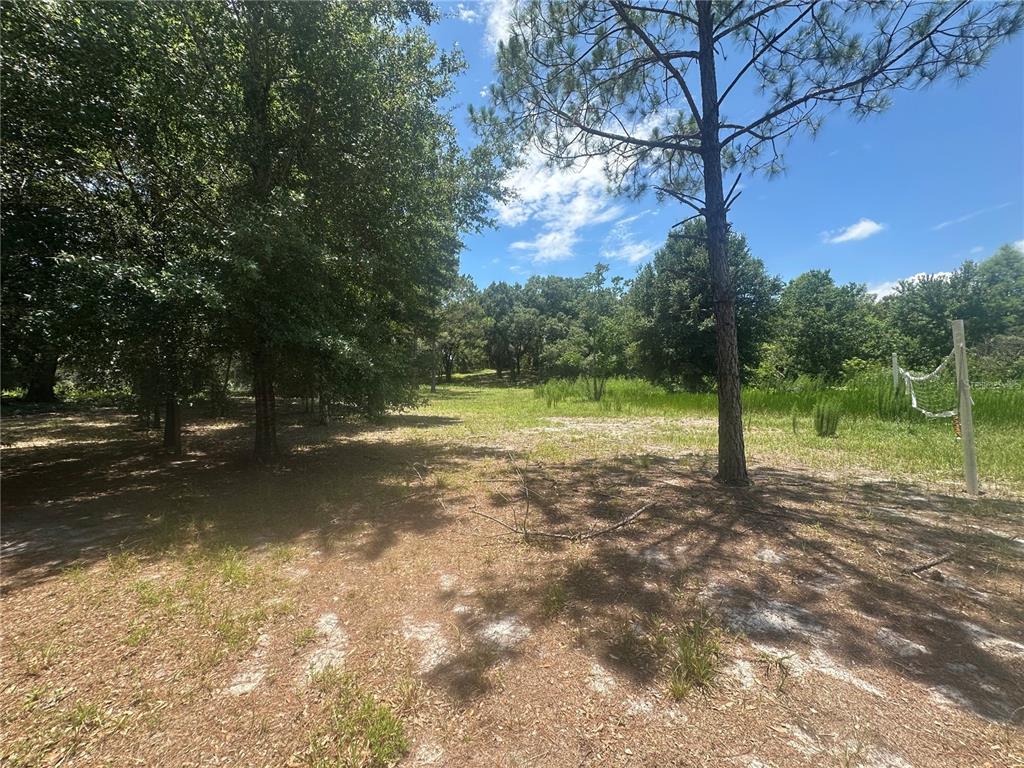 A grassy, partially wooded lot features a volleyball net on the right side — LAZY ACRES LANE, LONGWOOD, FL
