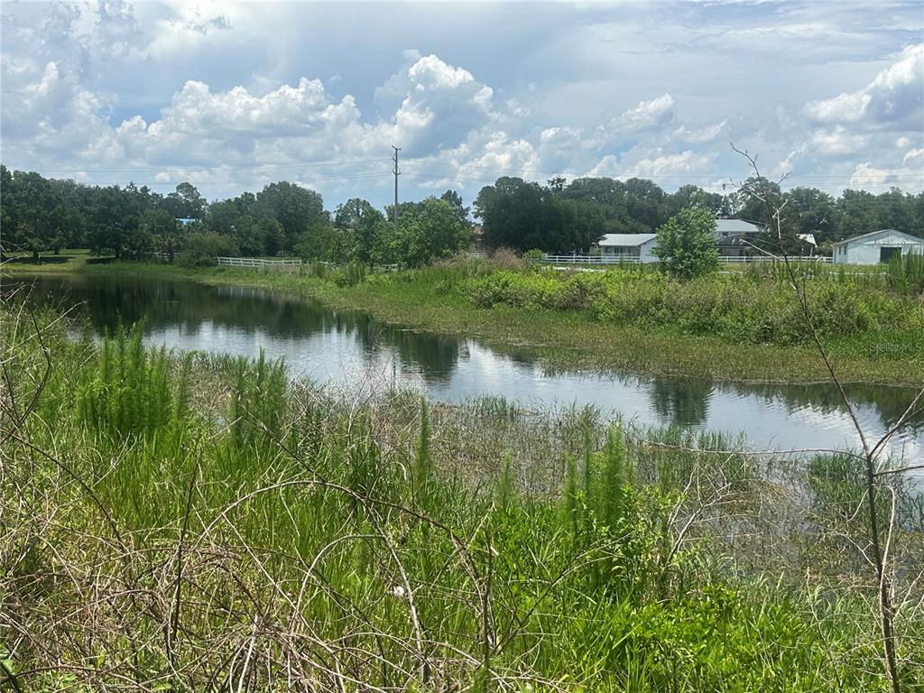 A view of a pond surrounded by tall grasses and trees under a cloudy sky — LAZY ACRES LANE, LONGWOOD, FL