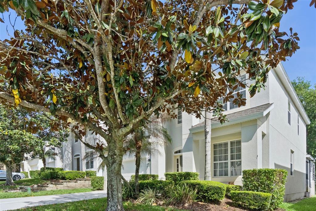 A two-story white stucco house with a large magnolia tree in the front yard — 7759 TOSTETH STREET, KISSIMMEE, FL
