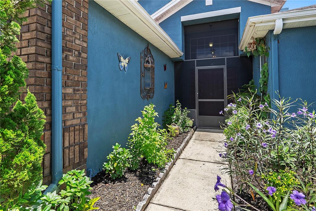A blue-walled entryway features a concrete walkway, a screened door, and decorative wall butterflies — 4441 BEAGLE STREET, ORLANDO, FL