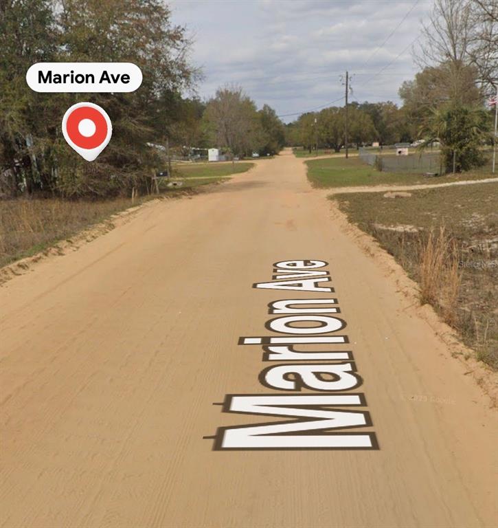A dirt road stretches into the distance, flanked by trees and sparse vegetation — MARION AVE, INTERLACHEN, FL