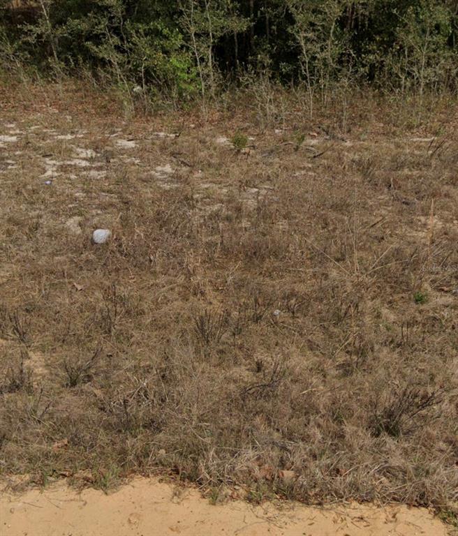 This is a vacant, grassy lot with sandy soil and a line of trees behind it — MARION AVE, INTERLACHEN, FL