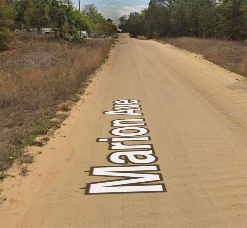 A dirt road stretches through a rural, grassy landscape under a blue sky — MARION AVE, INTERLACHEN, FL