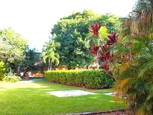 A grassy lawn features a manicured hedge, palm trees, and a large tree in the background — 9760 SW 184th St # 12D, Cutler Bay FL 33157, CUTLER BAY, FL