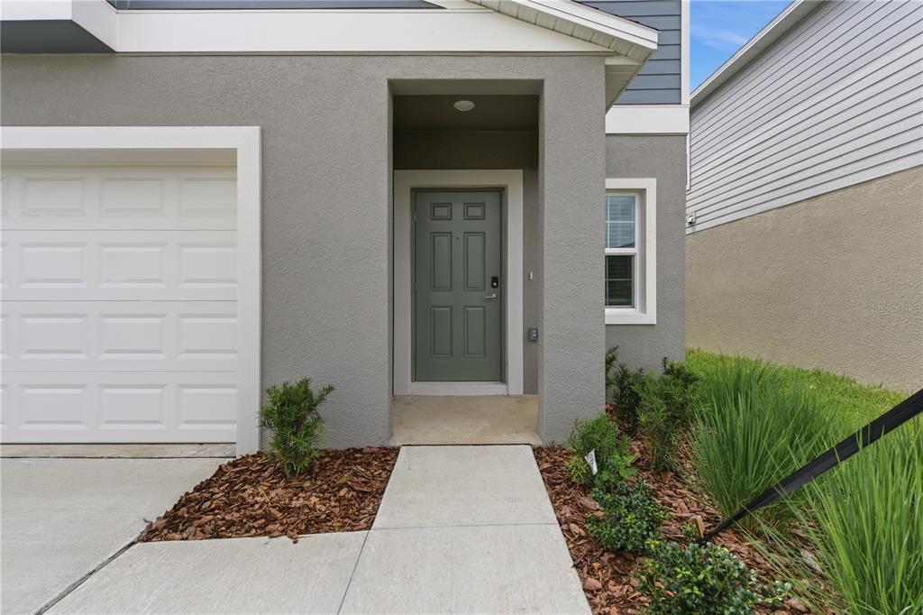 A gray house exterior features a white garage door, a green front door, and landscaping — 9947 ALLENDALE ST STREET, WESLEY CHAPEL, FL