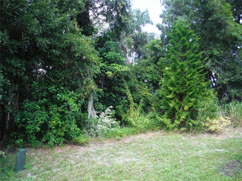 102 NATURES TRAIL UNIT 79, SAFETY HARBOR, FL — photo 2 of 30
