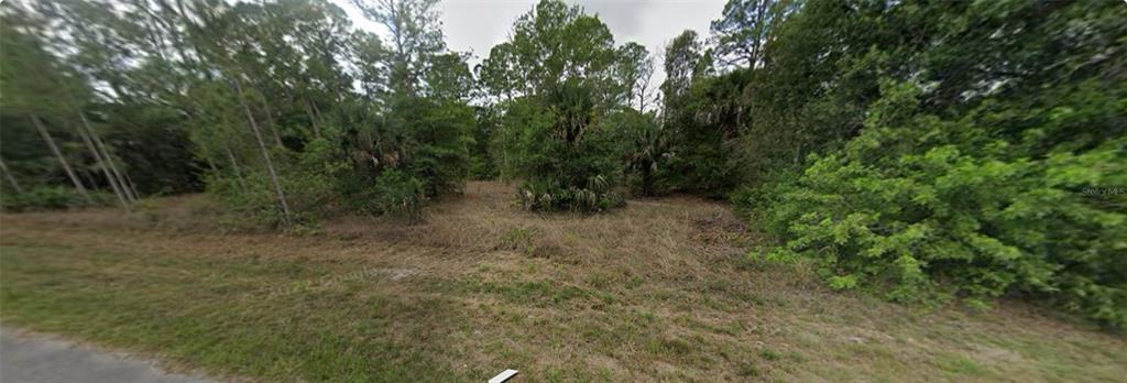 A vacant, overgrown lot with trees and shrubs sits alongside a paved road — 1007 LEROY AVENUE, LEHIGH ACRES, FL