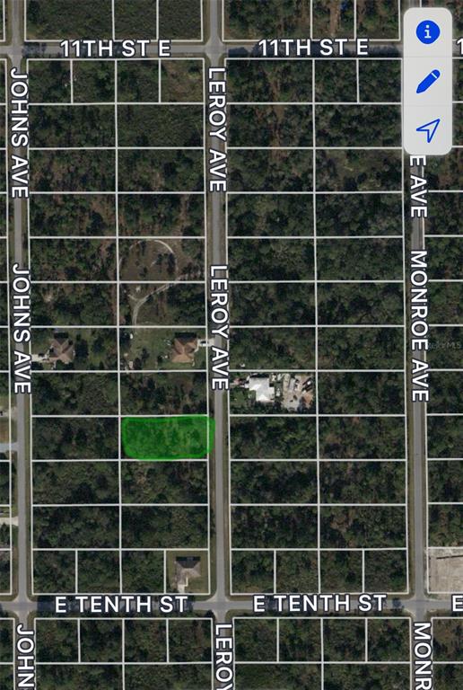 This is a satellite map view showing a vacant rectangular lot highlighted in green — 1007 LEROY AVENUE, LEHIGH ACRES, FL