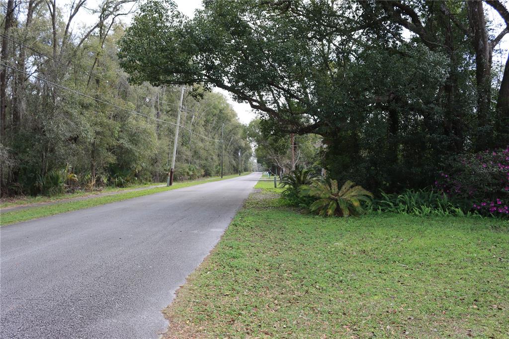 A paved road stretches into the distance, flanked by dense trees and grassy shoulders — 1845 LEMON STREET, DELAND, FL