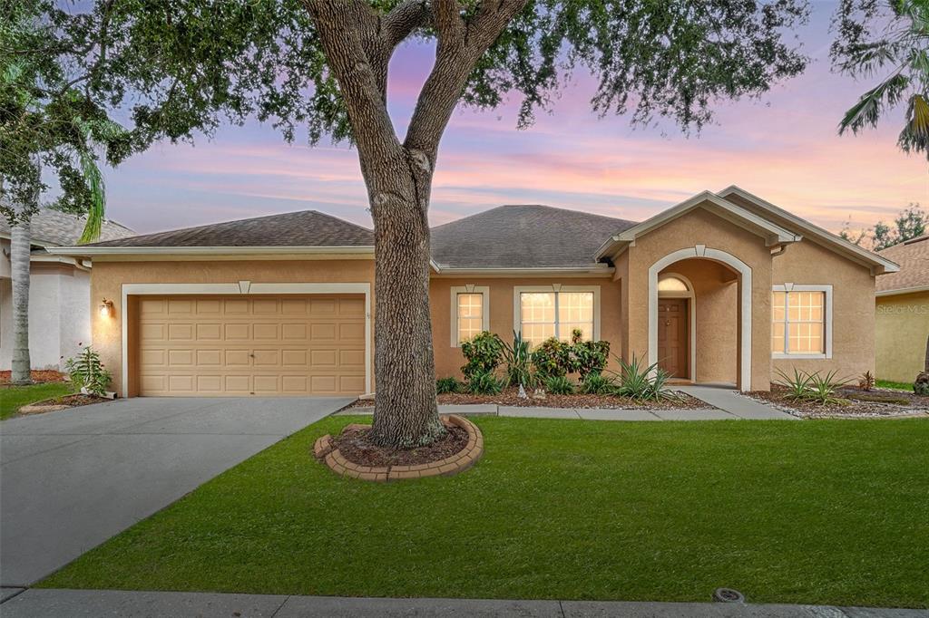 10903 WILDCAT DRIVE, RIVERVIEW, FL — photo 2 of 30
