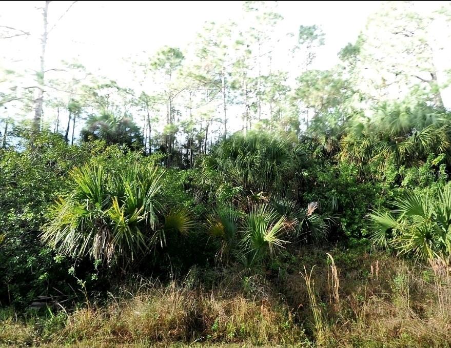 BLUELEAF DRIVE, NORTH PORT, FL — photo 2 of 4