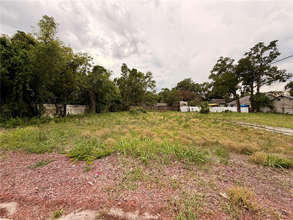 A vacant, grassy residential lot is surrounded by trees and a white fence — 3206 N TAMPA STREET, TAMPA, FL