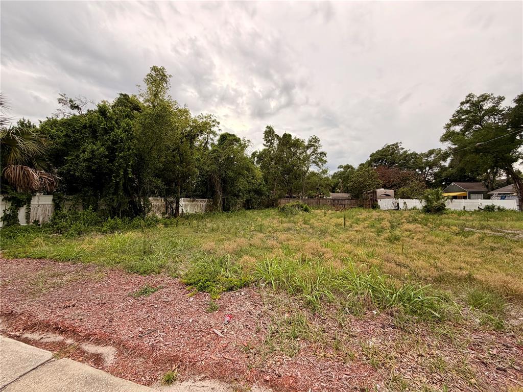 A vacant, grassy residential lot is bordered by trees and white fencing under a cloudy sky — 3206 N TAMPA STREET, TAMPA, FL