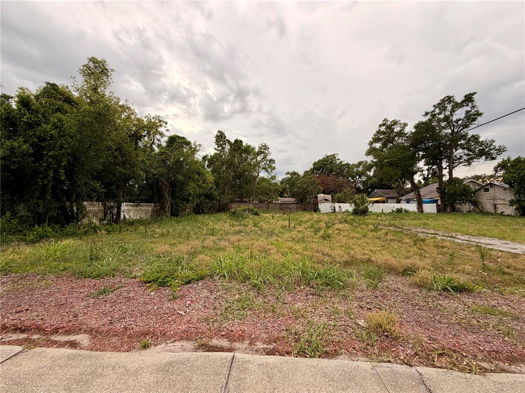 A vacant, grassy residential lot sits between trees and neighboring houses under a cloudy sky — 3206 N TAMPA STREET, TAMPA, FL