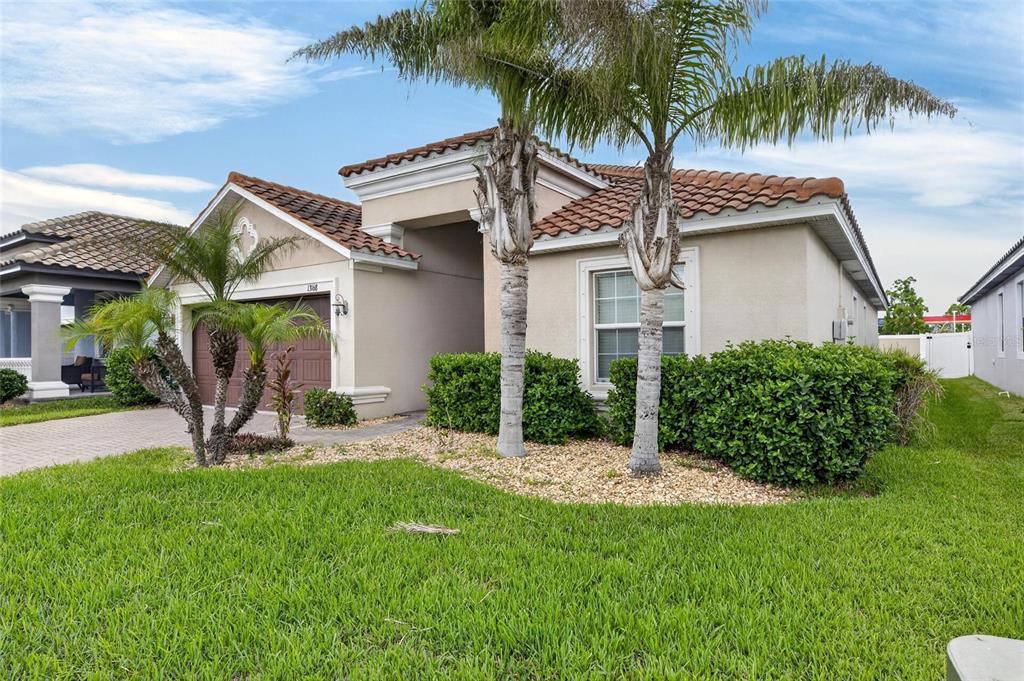 A single-story house with a tile roof, palm trees, and a paved driveway — 13168 GREEN VIOLET DRIVE, RIVERVIEW, FL