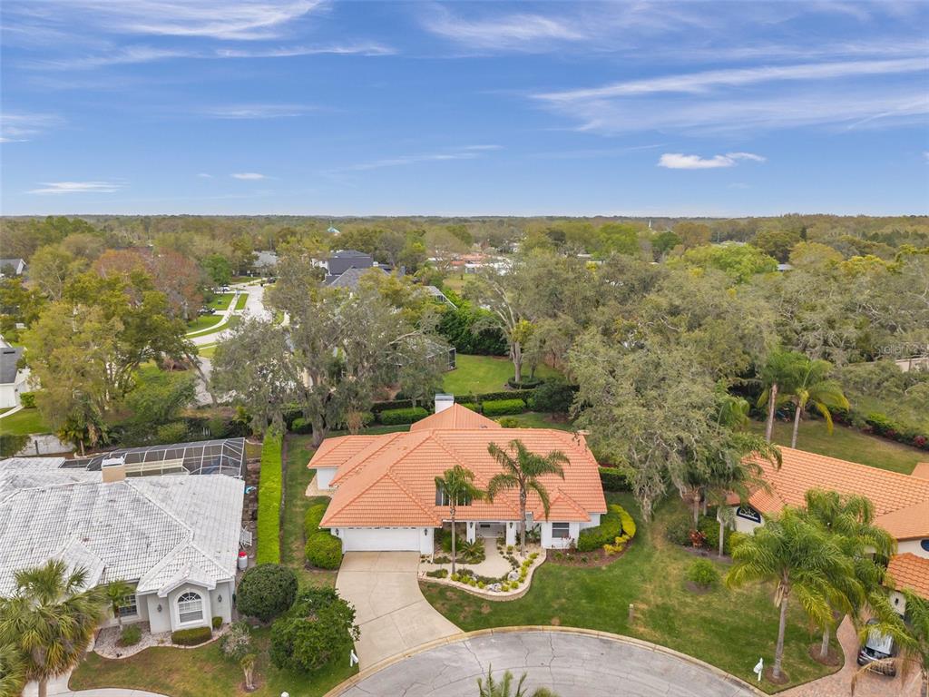 An aerial view shows a single-story house with a terracotta tile roof and driveway — 5473 BLUE HERON LANE, WESLEY CHAPEL, FL