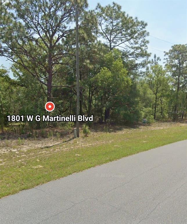 A wooded, undeveloped lot sits alongside a paved road under a clear sky — 1801 W G MARTINELLI BLVD, CITRUS SPRINGS, FL