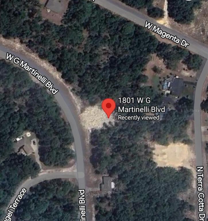 This is a satellite map view of a wooded residential lot — 1801 W G MARTINELLI BLVD, CITRUS SPRINGS, FL