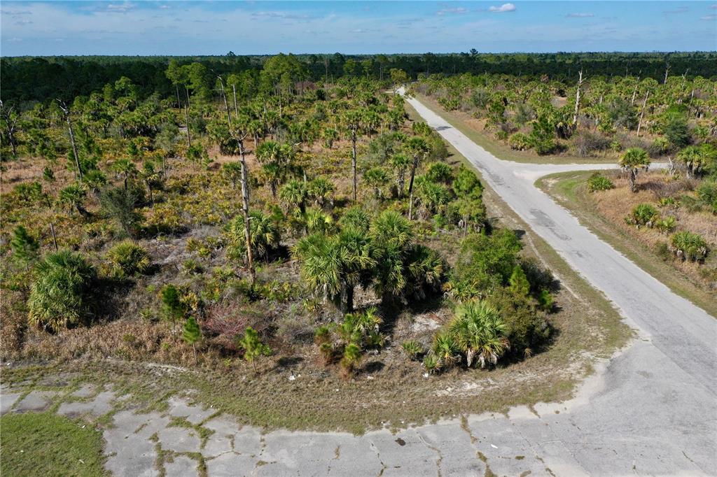 An aerial view shows a paved road intersection surrounded by undeveloped land with scattered palm trees — WILD COURT, NORTH PORT, FL
