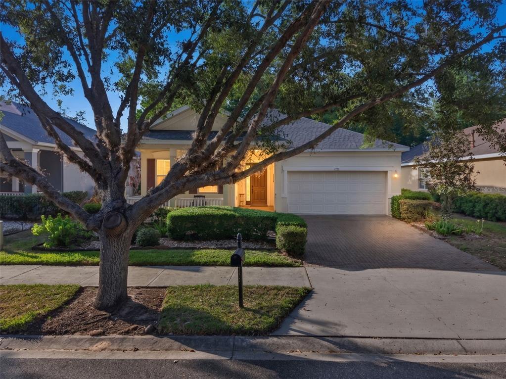 A single-story house with a paved driveway, a front porch, and a large tree — 111 FLAME VINE WAY, GROVELAND, FL