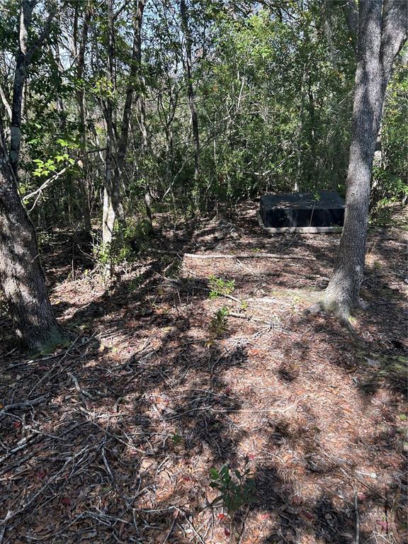 A black rectangular utility box sits on the ground in a wooded area — 7740 E SMOKE TRAIL, INVERNESS, FL