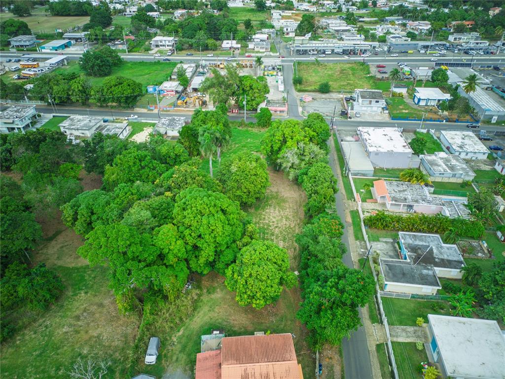 An aerial view shows a vacant, tree-lined lot situated between residential houses and a road — SR 662 SR 662 KM 1.9 SEC LOS LLANOS, ARECIBO, PR