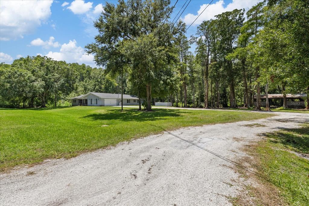 A gravel driveway leads to a single-story house surrounded by trees and a grassy lawn — 346 RANCH ROAD, TARPON SPRINGS, FL