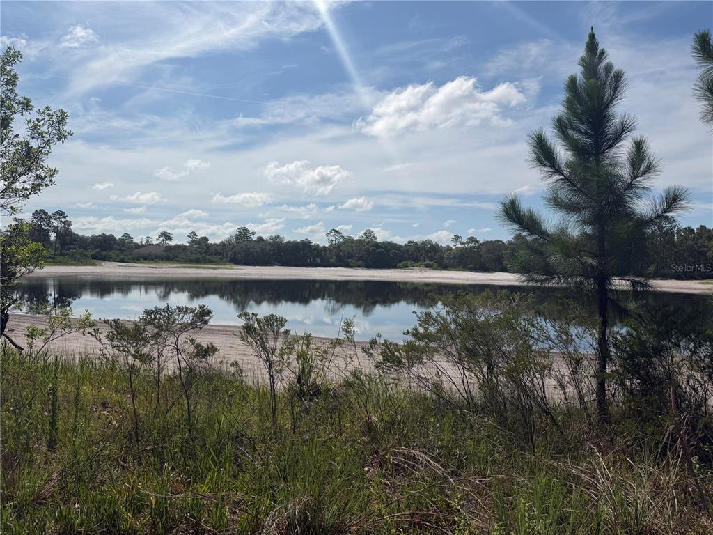 A view of a calm pond with a sandy shoreline surrounded by trees and vegetation — TBD MALAUKA PASS TRAIL, OCKLAWAHA, FL