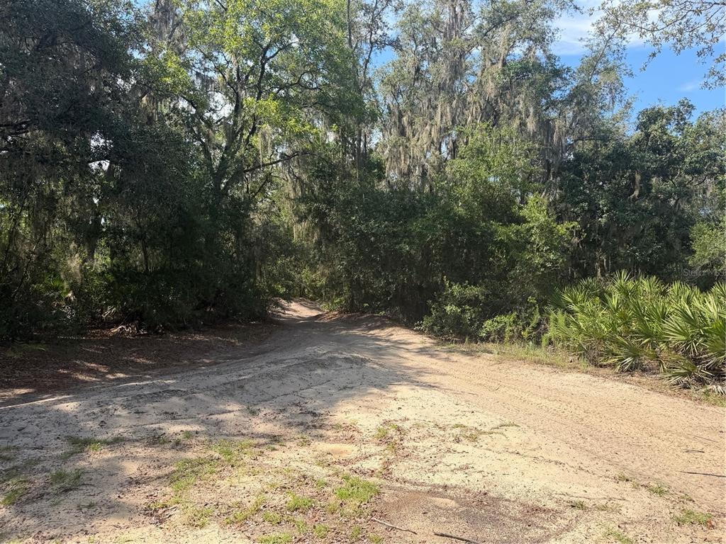 A sandy dirt path leads into a dense, wooded area with tall, moss-draped trees — TBD MALAUKA PASS TRAIL, OCKLAWAHA, FL