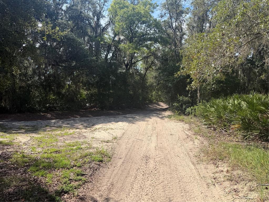 A sandy dirt road winds through a wooded area with dense trees and palmetto bushes — TBD MALAUKA PASS TRAIL, OCKLAWAHA, FL