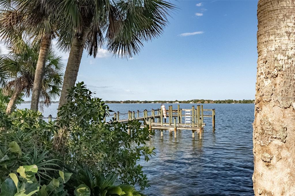 A wooden dock extends into a calm lake, framed by palm trees and lush green foliage — 11 BAYSHORE COURT, ROCKLEDGE, FL