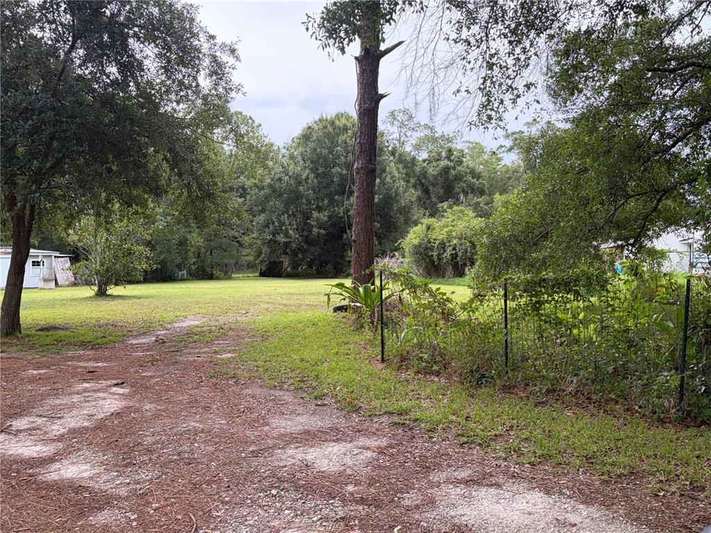 A grassy, tree-lined lot features a dirt driveway and a wire fence — 6900 ANGUS VALLEY DRIVE, WESLEY CHAPEL, FL