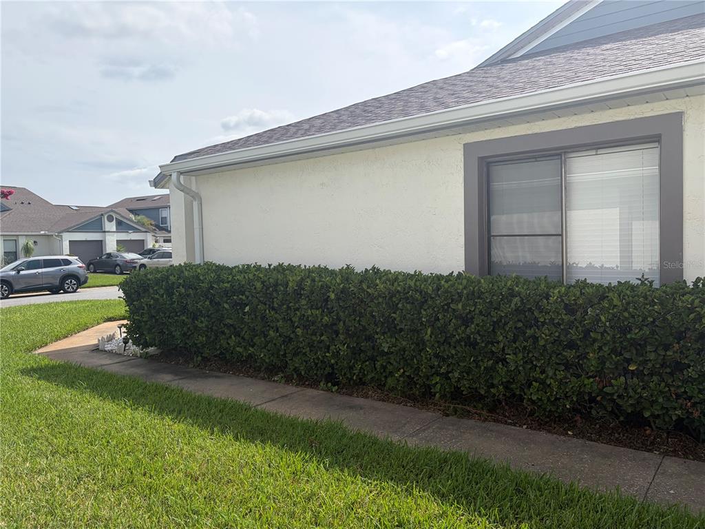 A side view of a house exterior featuring a hedge, a window, and a sidewalk — 31 LAKEPOINTE CIRCLE, KISSIMMEE, FL