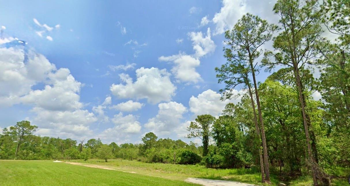 A grassy field borders a dense forest under a bright blue sky with scattered clouds — 1218 Iris Avenue, Sebring FL 33875, SEBRING, FL