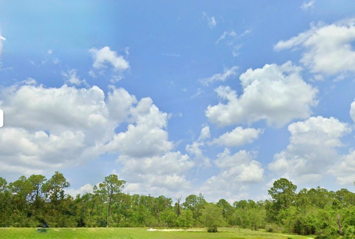 A grassy field sits in front of a line of trees under a cloudy blue sky — 1218 Iris Avenue, Sebring FL 33875, SEBRING, FL