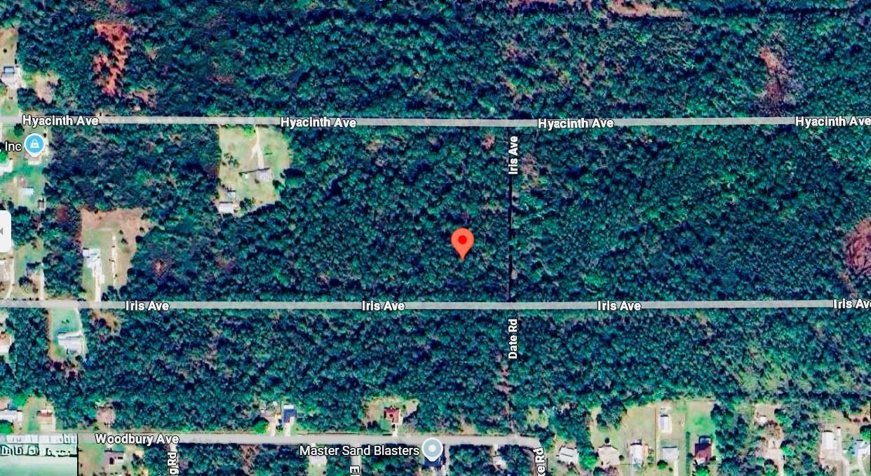 This is a satellite map view of a wooded area near residential streets — 1218 Iris Avenue, Sebring FL 33875, SEBRING, FL