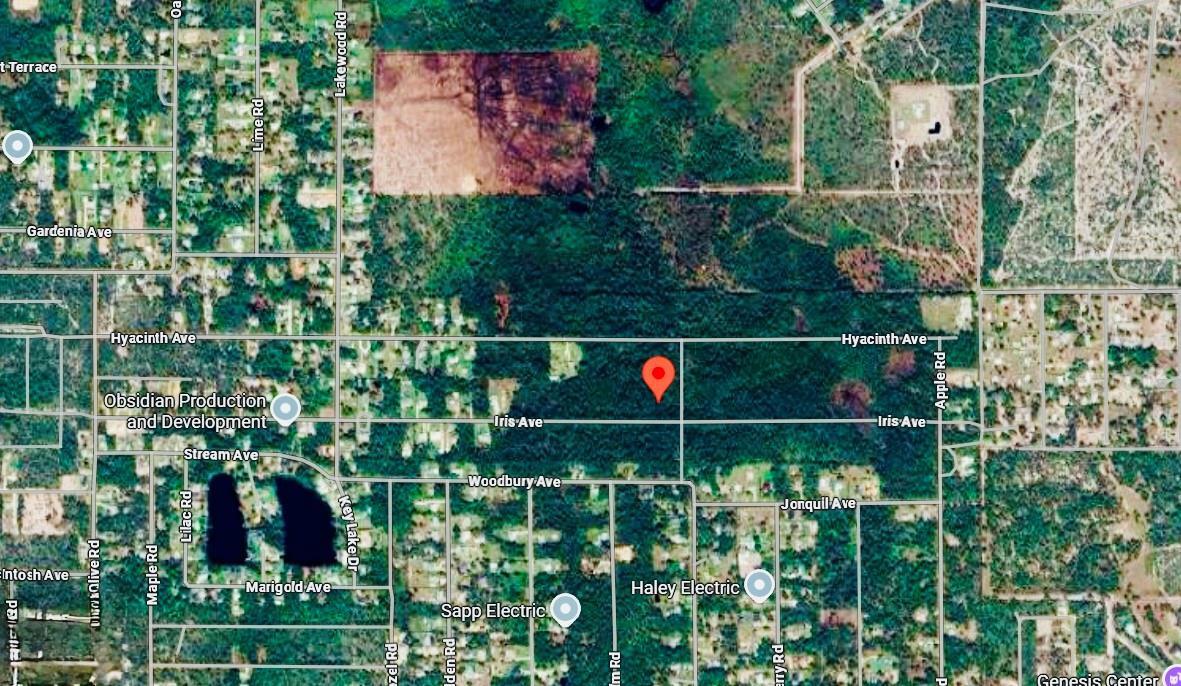 This is a satellite map view showing a wooded area with a red location pin — 1218 Iris Avenue, Sebring FL 33875, SEBRING, FL