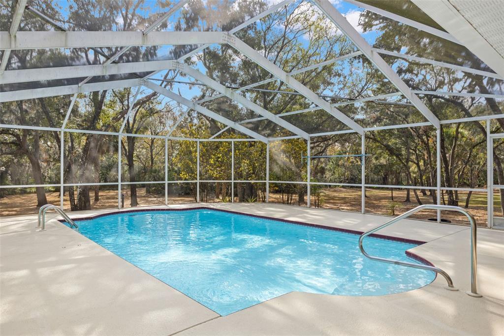 A screened-in swimming pool sits on a concrete patio surrounded by trees — 3734 THORNBUSH LANE, NEW PORT RICHEY, FL