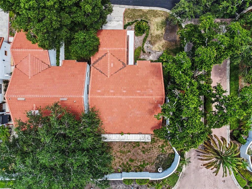 An aerial view shows a house with a red tile roof surrounded by trees — 11502 ROBLES DEL RIO PLACE, TEMPLE TERRACE, FL