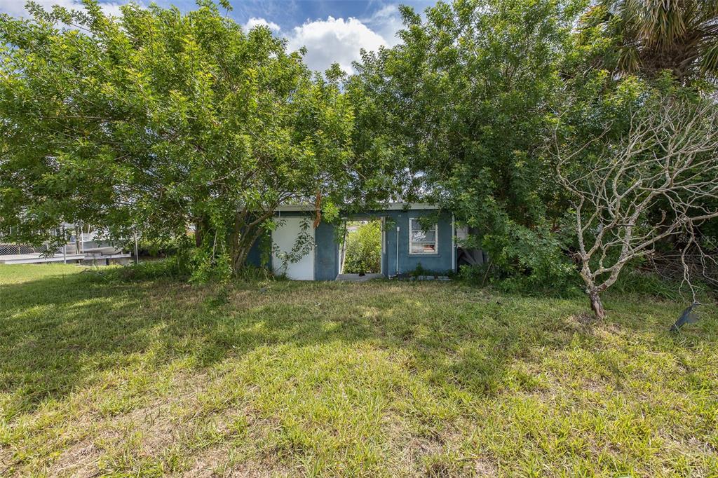 A small, weathered structure with a white door sits behind overgrown trees and tall grass — 13008 BALLAST COURT, HUDSON, FL