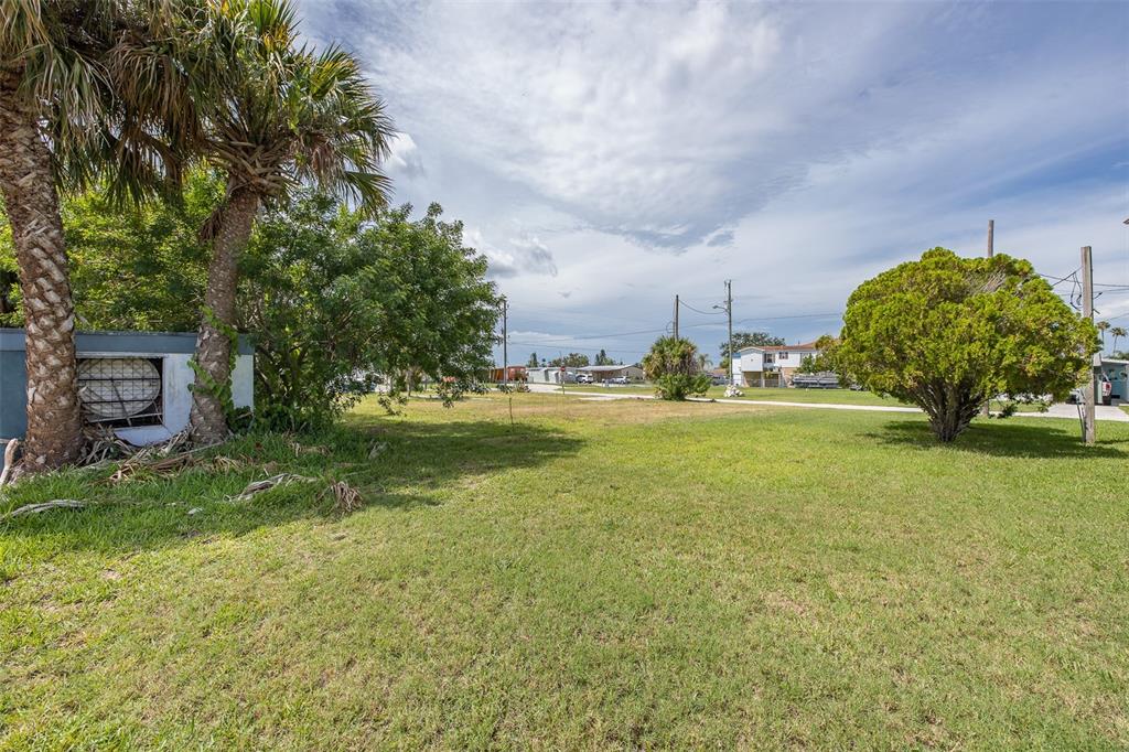 A grassy vacant lot features palm trees, a small bush, and a distant residential street — 13008 BALLAST COURT, HUDSON, FL