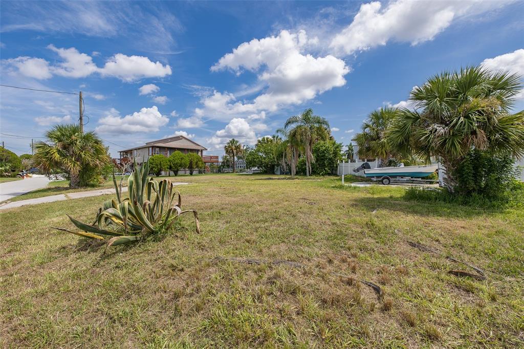 A grassy vacant lot features a large agave plant, palm trees, and a boat on trailer — 13008 BALLAST COURT, HUDSON, FL