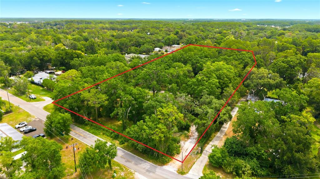 An aerial view shows a wooded, rectangular plot of land outlined in red near roads — 1444 CHESAPEAKE DRIVE, ODESSA, FL