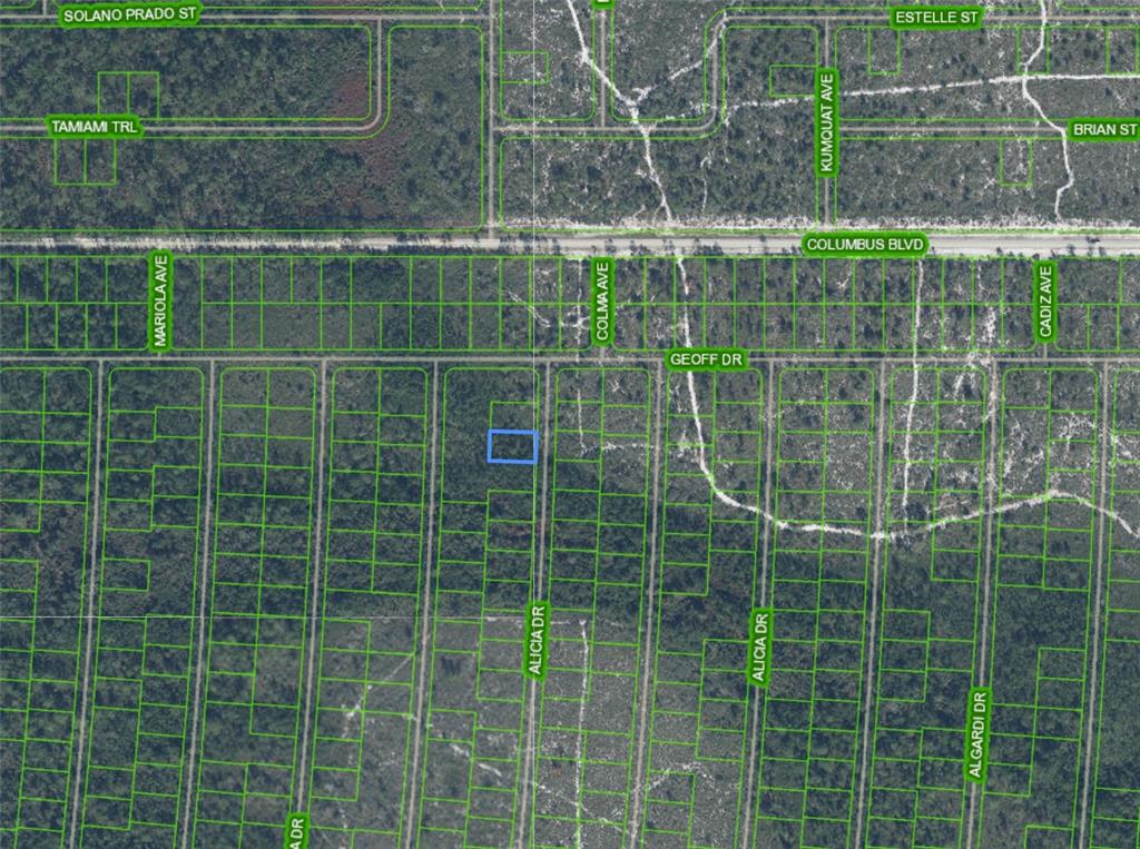 This is an aerial map showing a highlighted vacant lot surrounded by undeveloped wooded land — 6569 PERSIS DRIVE, SEBRING, FL