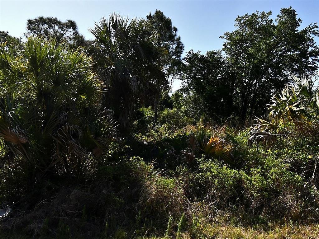 A dense, overgrown lot features various palm trees and thick vegetation under a clear sky — Lot 2 BANNOCK CIRCLE, NORTH PORT, FL