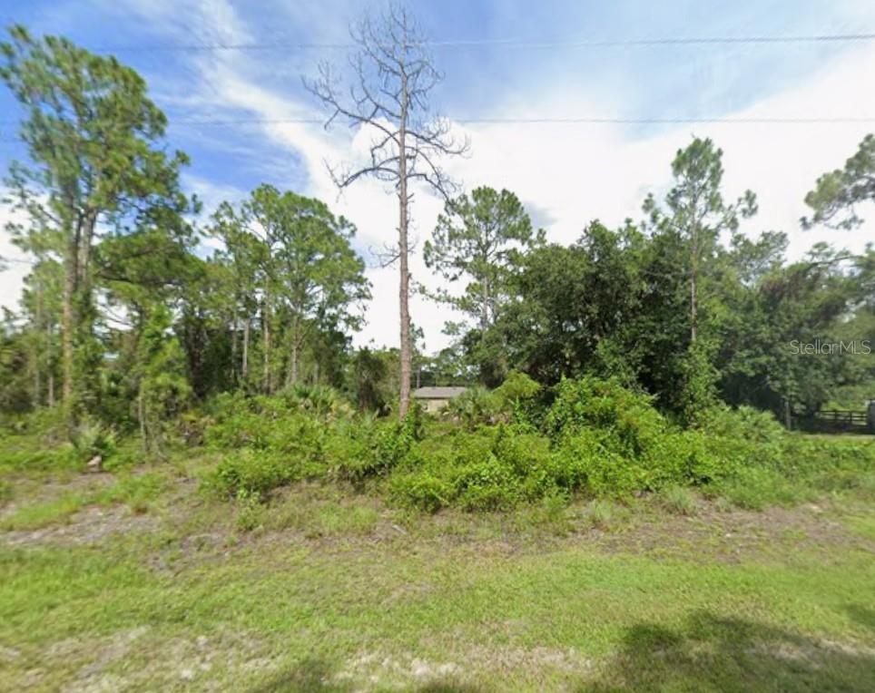 A grassy lot with dense trees and brush features a small structure in the background — EINSTEIN STREET, NORTH PORT, FL