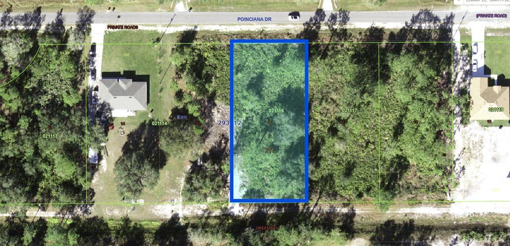 This is a satellite map showing a rectangular, wooded residential lot highlighted in blue — 817 POINCIANA DRIVE, INDIAN LAKE ESTATES, FL