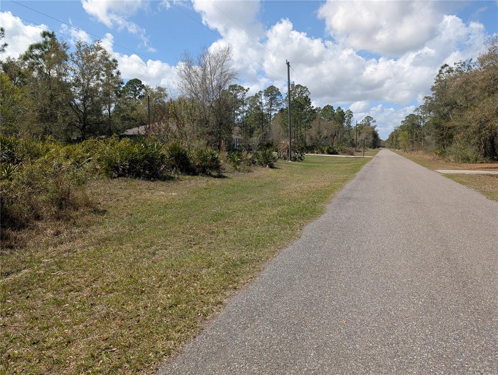 A paved road runs alongside a grassy lot with scattered trees and bushes — 817 POINCIANA DRIVE, INDIAN LAKE ESTATES, FL